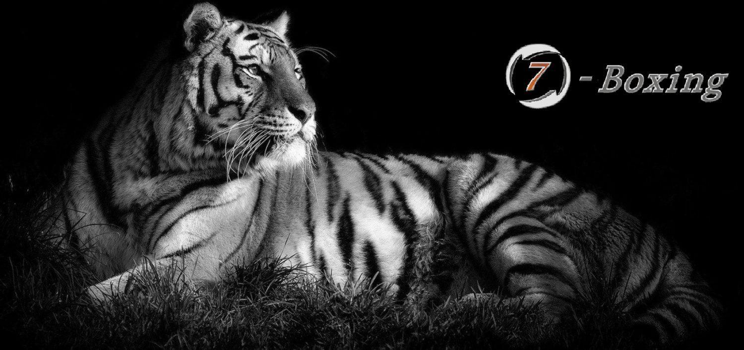 Тигр лежит на черном фоне